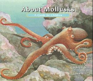 About Mollusks