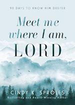 Meet Me Where I Am, Lord