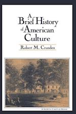 A Brief History of American Culture