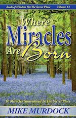 Where Miracles Are Born (Seeds Of Wisdom on The Secret Place, Volume 13)