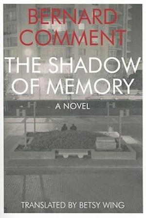 The Shadow of Memory