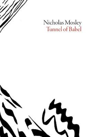 The Tunnel of Babel