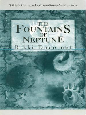 Fountains of Neptune