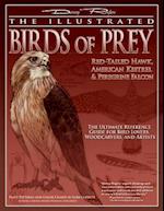 The Illustrated Birds of Prey