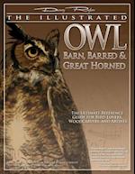 Illustrated Owl