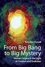 From Big Bang to Big Mystery