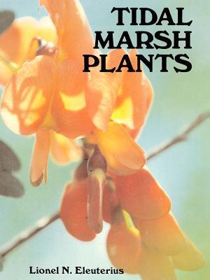 Tidal Marsh Plants