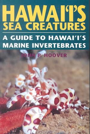 Hawaii's Sea Creatures