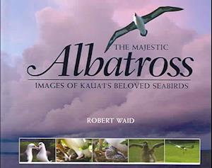 Majestic Albatross of Kauai