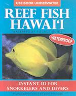 Reef Fish Hawai'i