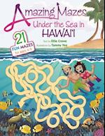 Amazing Mazes Under the Sea in Hawaii