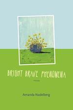 Bright Brave Phenomena