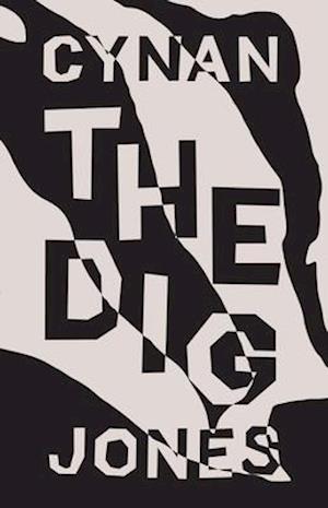 The Dig