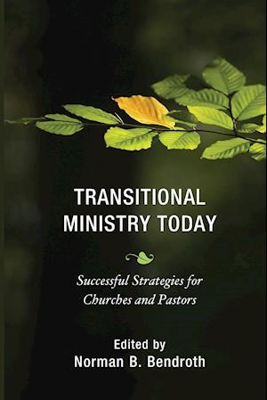 Transitional Ministry Today