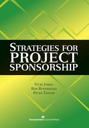 Strategies for Project Sponsorship