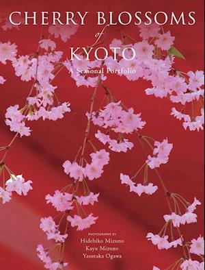 Mizuno, H:  Cherry Blossoms Of Kyoto