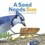 A Seed Needs Sun