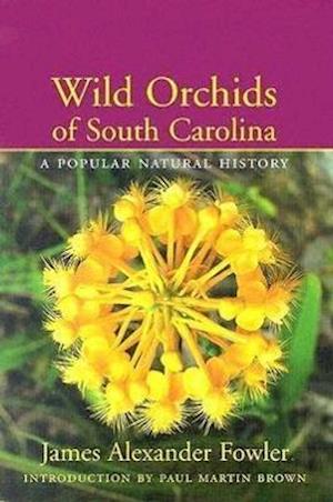 Wild Orchids of South Carolina