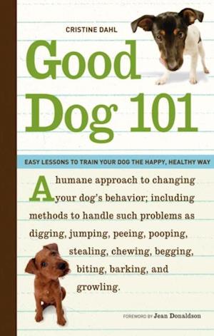 Good Dog 101