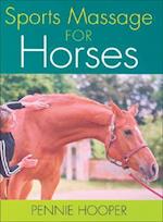 Sports Massage for Horses