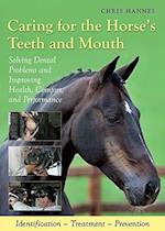 Caring for the Horse's Teeth and Mouth