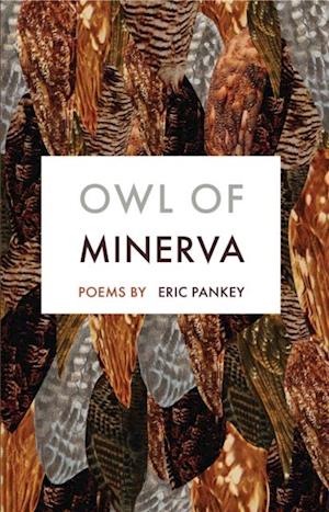 Owl of Minerva