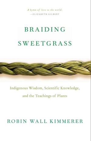 Braiding Sweetgrass