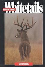 Hunting Trophy Whitetails