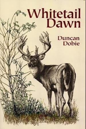 Whitetail Dawn