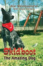 Skidboot