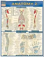Anatomy 2 - Reference Guide