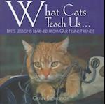 What Cats Teach Us