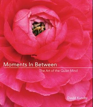 Moments in Between : The Art of the Quiet Mind (Daily Meditations; Inspiration Book for Women)