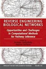 Reverse Engineering Biological Networks – Opportunities and Challenges in Computational Methods for Pathway Interference