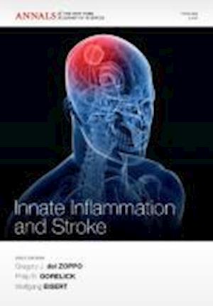 Innate Inflammation and Stroke