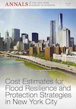 Cost Estimates for Flood Resilience and Protection  Strategies in New York City