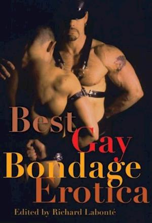 Best Gay Bondage Erotica