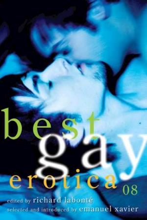 Best Gay Erotica 2008