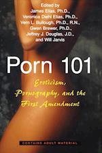 Porn 101