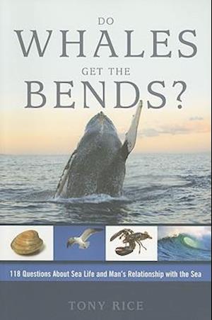 Do Whales Get the Bends?