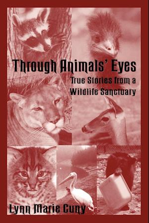 Through Animals' Eyes