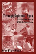 Through Animals' Eyes