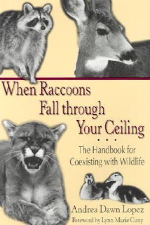 When Raccoons Fall Through Your Ceiling