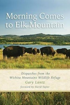 Lantz, G:  Morning Comes to Elk Mountain