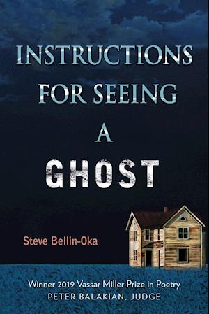 Instructions for Seeing a Ghost