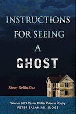 Instructions for Seeing a Ghost