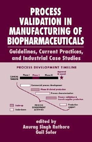 Process Validation in Manufacturing of Biopharmaceuticals