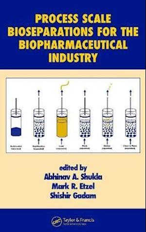 Process Scale Bioseparations for the Biopharmaceutical Industry