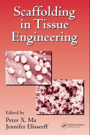 Scaffolding In Tissue Engineering