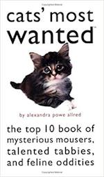 Cats' Most Wanted